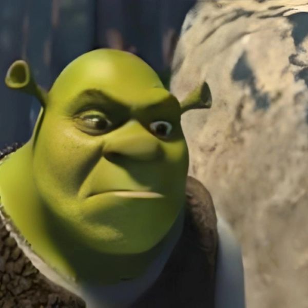 shrek meme (20)