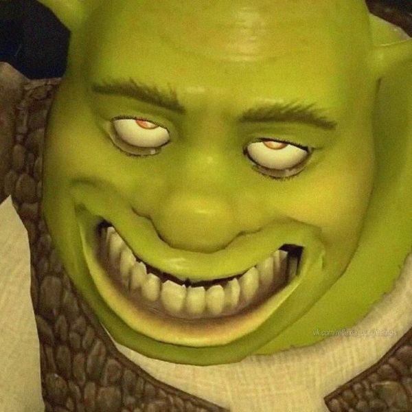 shrek meme (22)