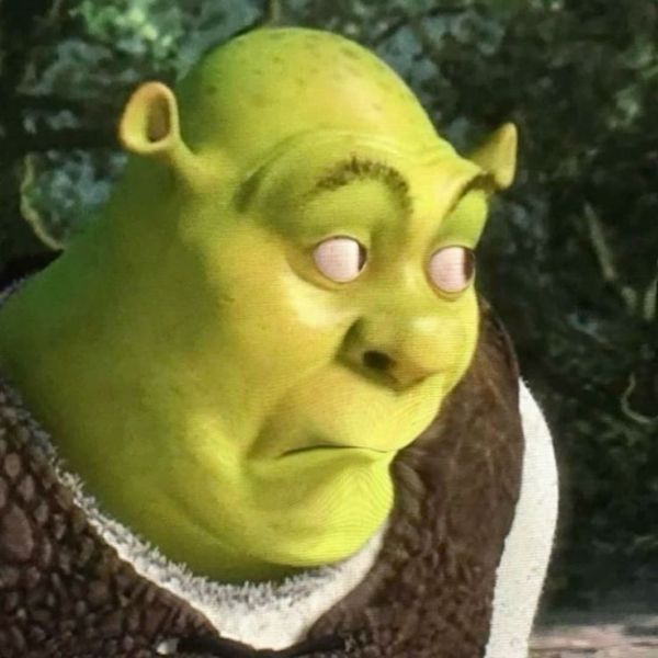 shrek meme (23)