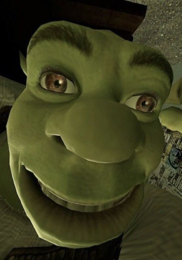 shrek meme (24)