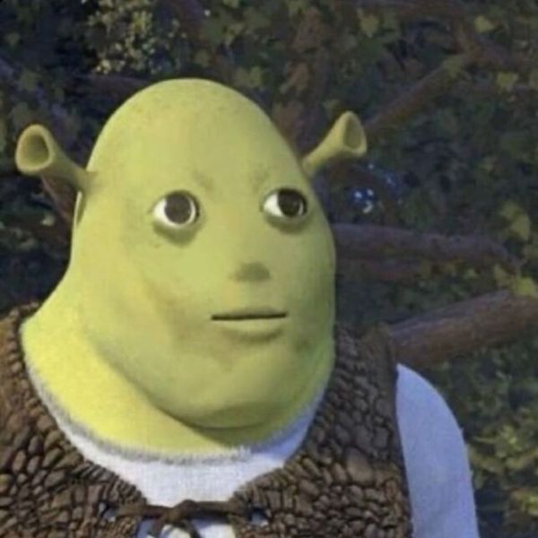 shrek meme (25)
