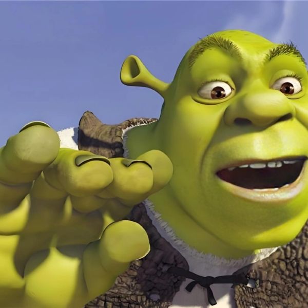 shrek meme (26)
