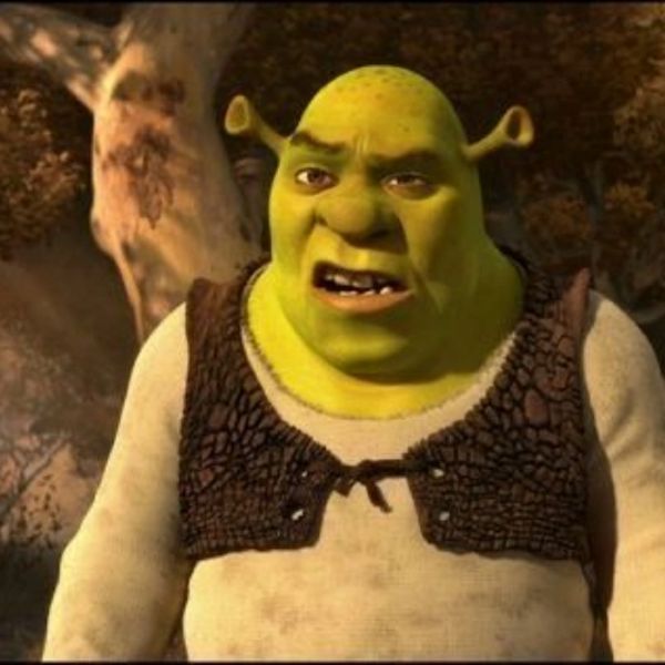 shrek meme (27)