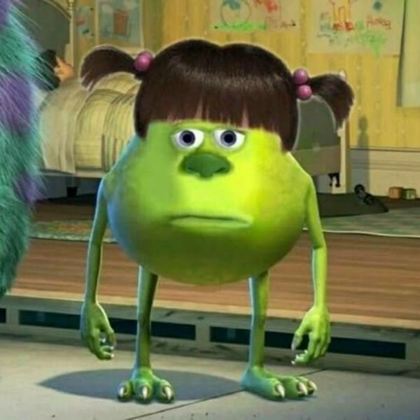 shrek meme (28)