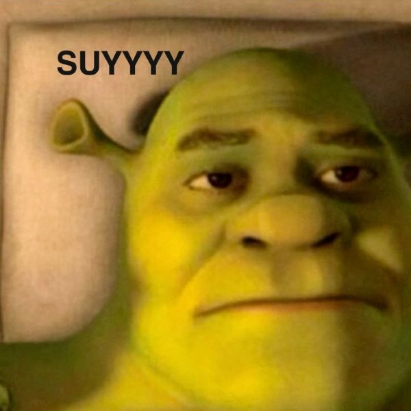 shrek meme (29)