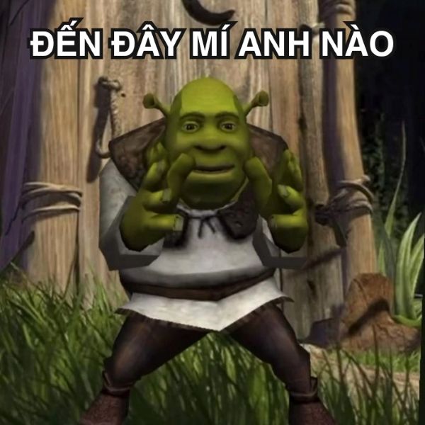 shrek meme (3)