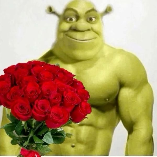 shrek meme (30)