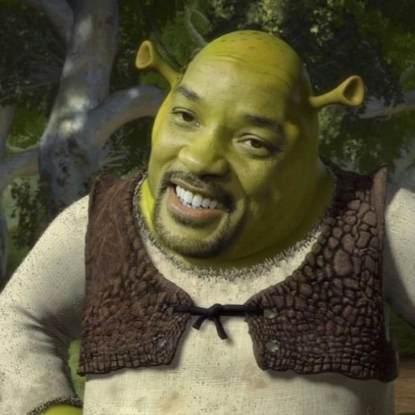 shrek meme (4)