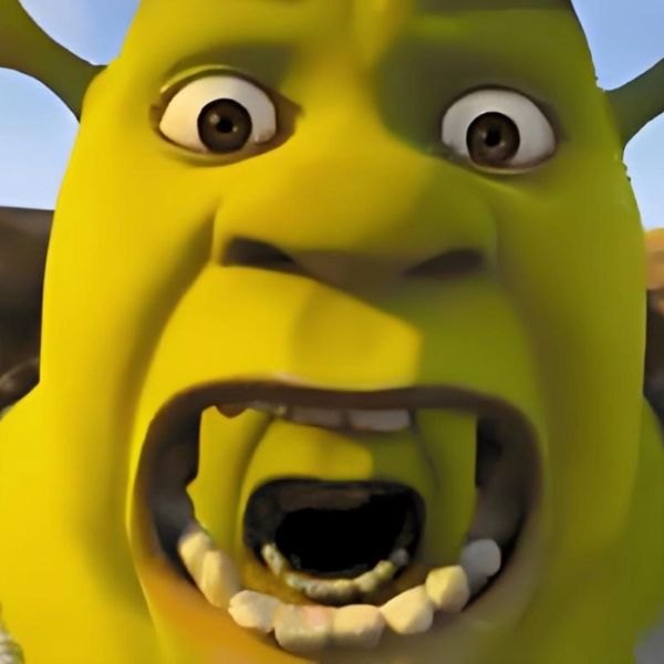 shrek meme (6)