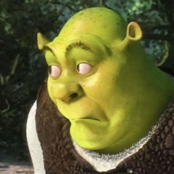 shrek meme (7)