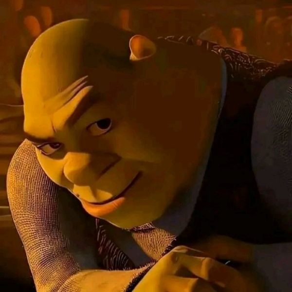 shrek meme (9)