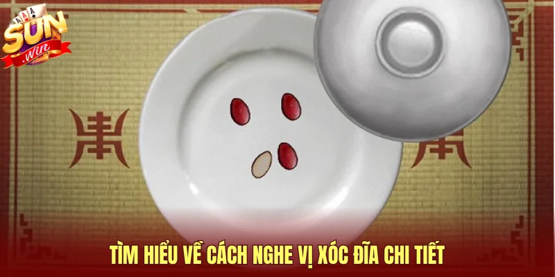 tim hieu ve cach nghe vi xoc dia chi tiet