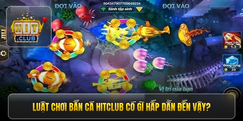 luat choi ban ca hitclub co gi hap dan den vay