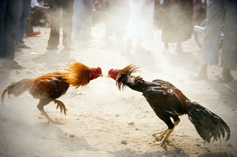 image3