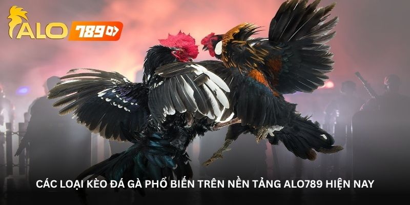 cac loai keo da ga pho bien tren nen tang alo789 hien nay