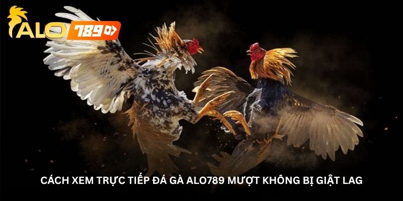cach xem truc tiep da ga alo789 muot khong bi giat lag