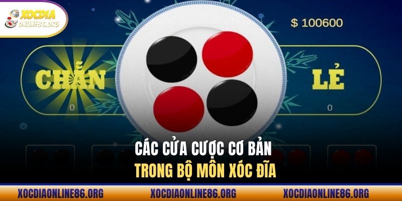 cac cua cuoc co ban trong bo mon xoc dia