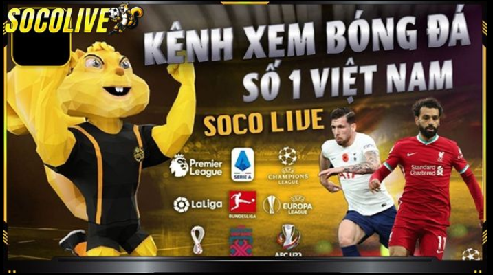Cách SocoLive Trực Tiếp Bóng Đá Giữ Chân Người Hâm Mộ