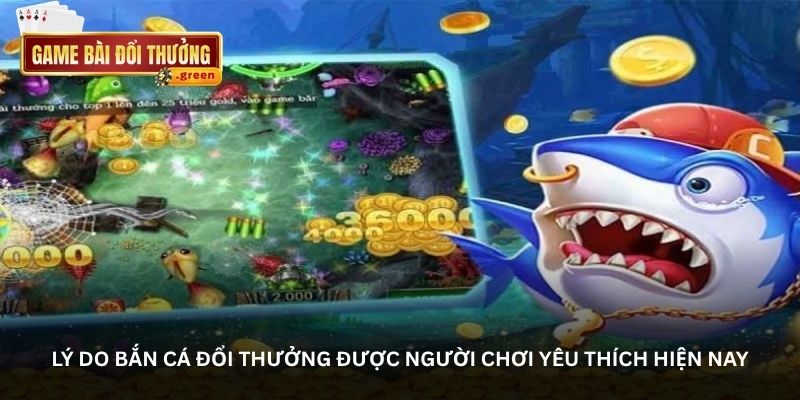 ly do ban ca doi thuong duoc nguoi choi yeu thich hien nay